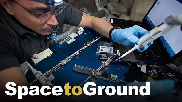 Space to Ground: Studying DNA Breaks: 09/11/2020