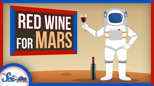 The Secrets to Living on Mars: Wine and Aerogel? | SciShow News