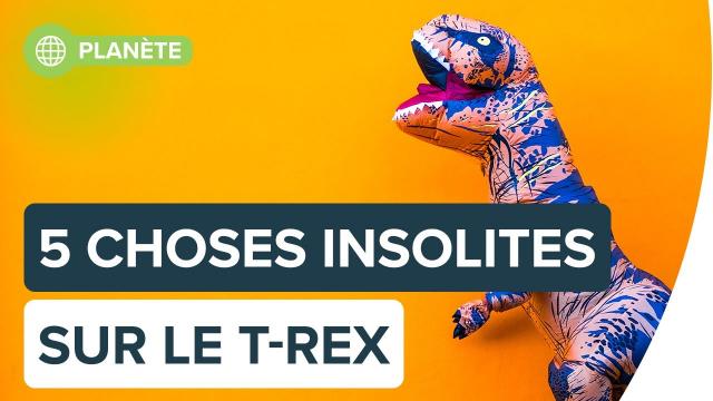 5 faits méconnus sur le T-Rex | Futura