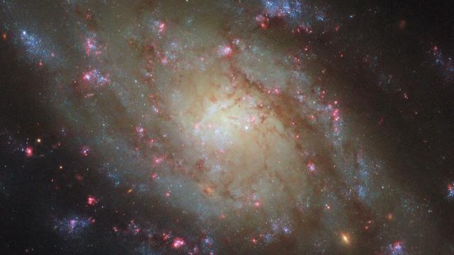 Pan: NGC 5042