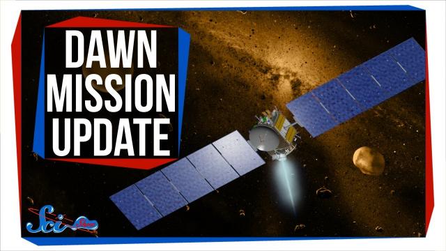 What We've Learned from the Dawn Mission So Far