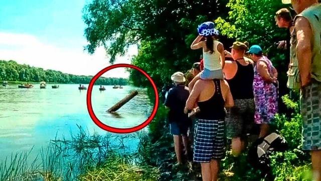 They Thought They Found Just A Log, But When They Pulled It Out, They Screamed