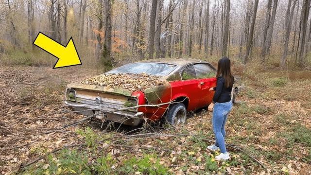 Woman Finds Abandoned Car in the Woods, Turns Pale When She Looks Inside