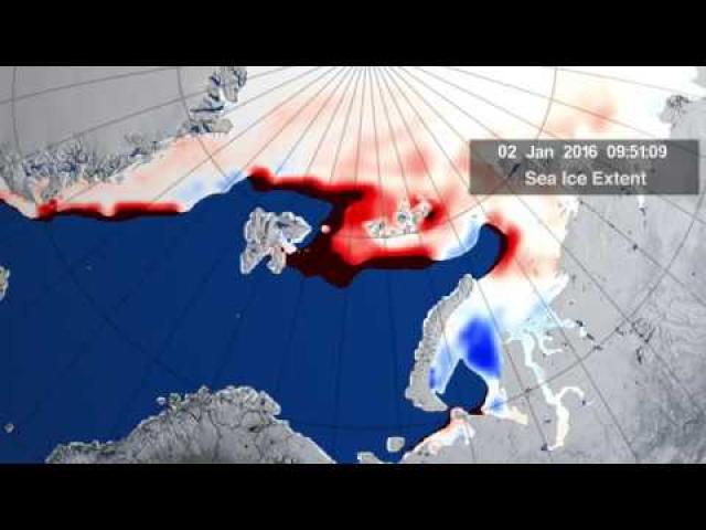 Cyclone Powered By Warm Winter Causes 'Size of Florida' Arctic Ice Melt | Video