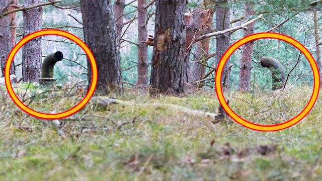 Two Guys Noticed These Pipes Sticking Out Of The Ground. They Never Expected This To Be Underneath