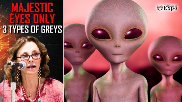 Linda Moulton Howe Zeta Reticuli E.Ts - Friendly?  Neutral?  Hostile?