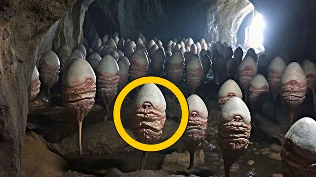 Scientists Found This In Cave Under Lake - They're Stunned When They Discover What It Really Is