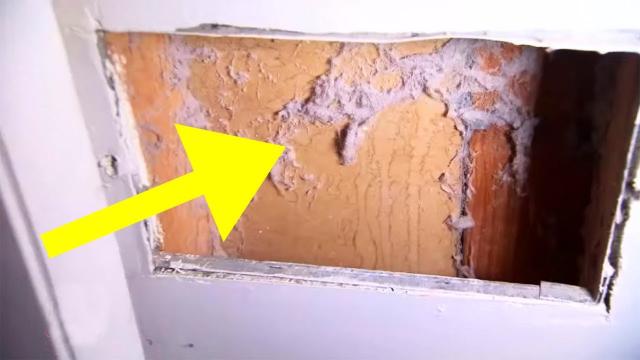 Strange Noise Sounded In This House’s Walls For 13 Years. Then A Repairman Finally Found The Cause
