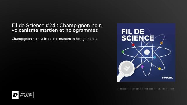 Fil de Science #24 : Champignon noir, volcanisme martien et hologrammes