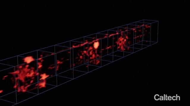 Distant 'Cosmic Web' gas filaments shown in 3D animation