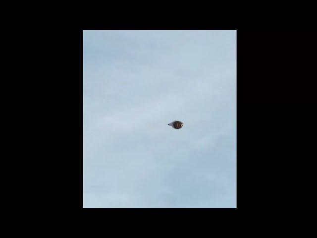 NEW Amazing UFO 2021