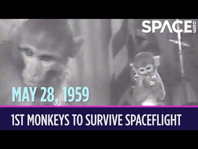 OTD in Space – May 28: Able & Baker Become 1st Monkeys to Survive Spaceflight