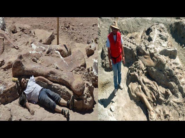 New Archaeological and Paleontological Discoveries April 2020