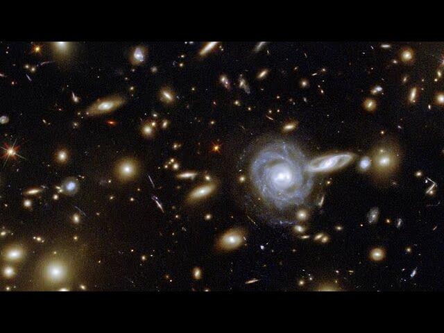 A Menagerie of Galaxies
