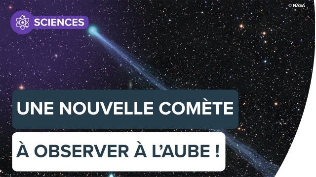 Une nouvelle comète à observer à l'aube ! | Futura