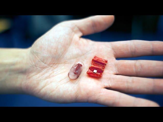 Ingestible origami robot