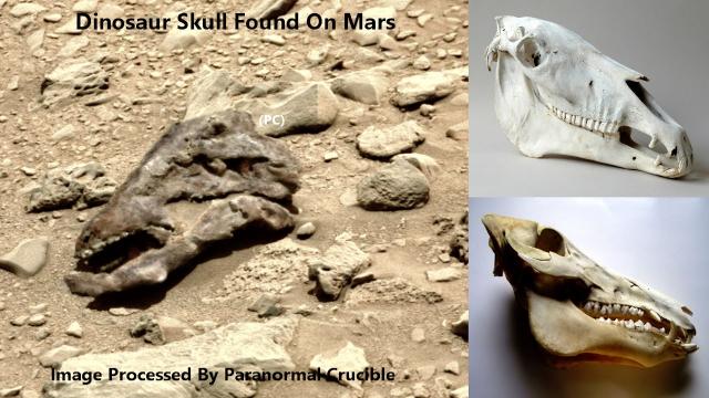 Dinosaur Skull Found On Mars?
