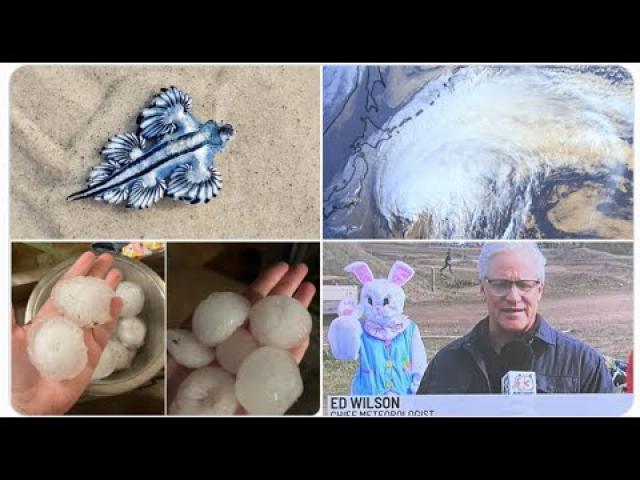 Blue Dragons on Texas Beaches! Colorado Wildfire Evacuations! Nuclear Chatter! More Giant Hail!