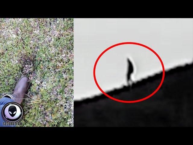 "NOT HUMAN": People Are Sighting These "Things" Everywhere..