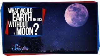 What Would Earth Be Like Without a Moon?