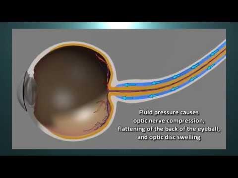 StationLife: Eye-Opening Science