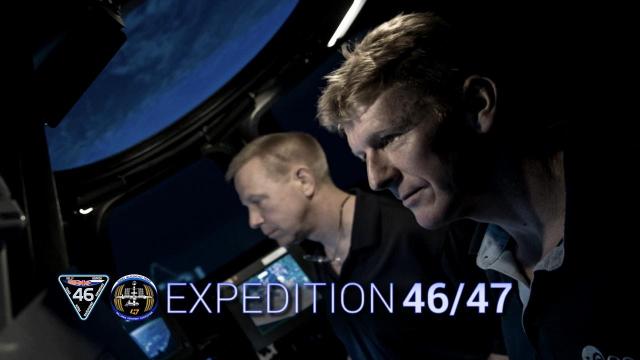 Expedition 46/ 47 scheduled for December launch