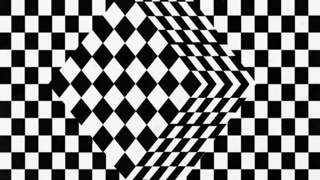 Can You See This Illusion??