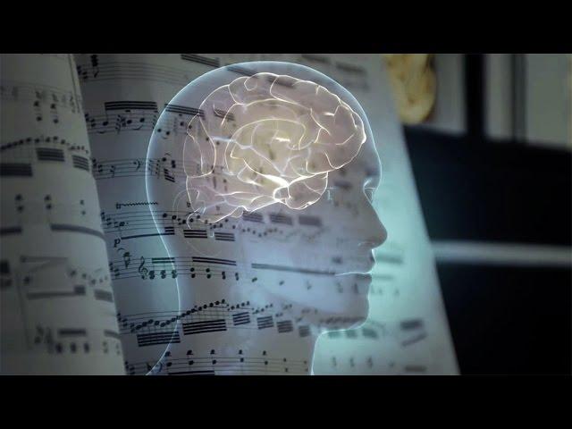 Are musical tastes cultural or hardwired in the brain?