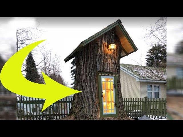 This Woman Saves 110-Year-Old Tree, Converting It Into Magical Library Stump