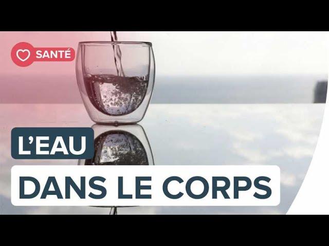 Quelle est la quantité d'eau dans le corps humain ? | Futura