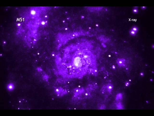 Whirlpool Galaxy Hosts Black Holes Orbiting Sun-Like Stars | Video