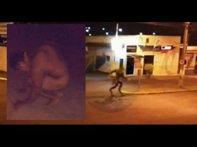 A Strange Creature Terrorizes City in Brazil  A werewolf?