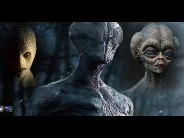 Over 82 Alien Species Are In Contact With Earth