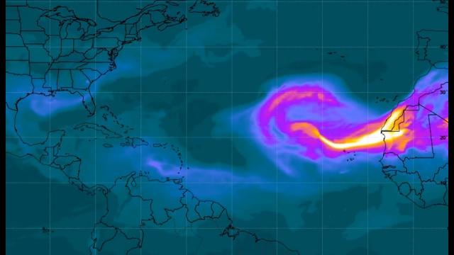 Obsessive Asteroid Fight Club Hurricane Watch USA