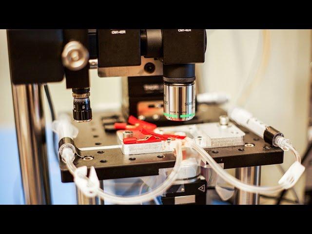 Microscope creates near-real-time videos of nanoscale processes
