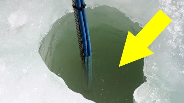 Scientists In Antarctica Discovered Mysterious Ancient Lifeforms Buried Deep Beneath The Ice…