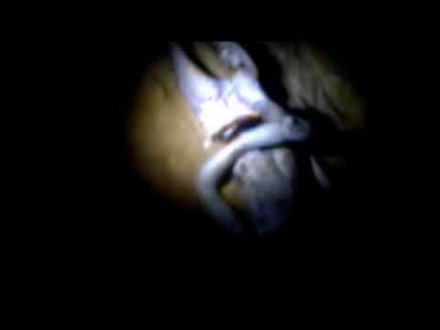 Video from Peru tomb raiders at Nazca cave expose an unidentified blue biological entity