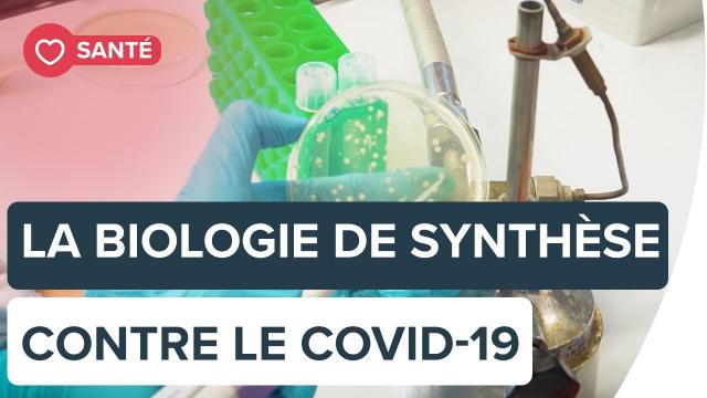 Des bactéries de synthèse peuvent-elles aider à traiter le Covid-19 ? | Futura