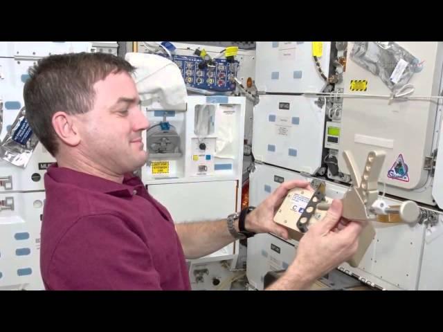 Fruit Flies To Soar To Space Station For Deep Space Voyage Data | Video
