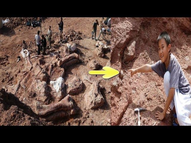 Chinese Boy  Discovers 66 Million Year Old Dinosaur Eggs While Playing