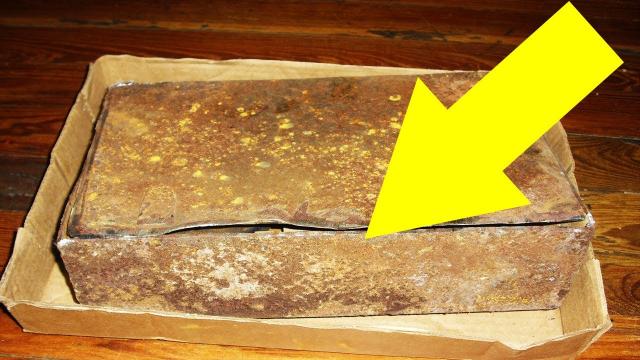 Mysterious Box Discovered In Grandparents’ House Holds A Decades-Old Secret Nobody Saw Coming