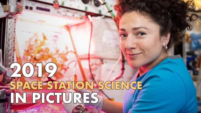 2019 Space Station Science in Pictures