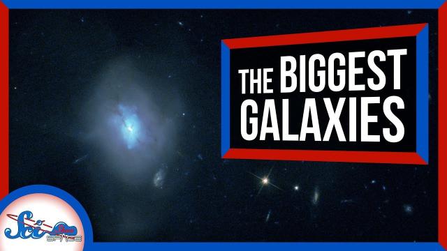 Where Do the Biggest Galaxies Come From?