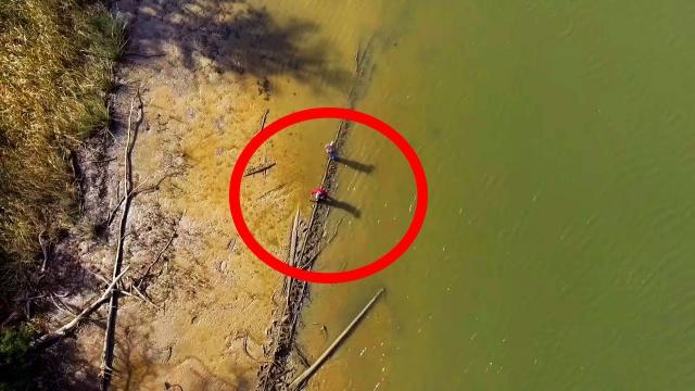 A Shipwreck Was Found In Alabama Swampland That Raised Suspicions About Its Potentially Murky Past
