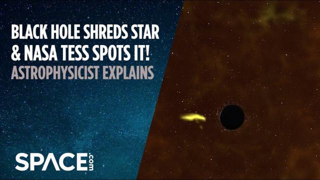 Black Hole Shreds Star, NASA TESS Spots It! - Astrophysicist Explains