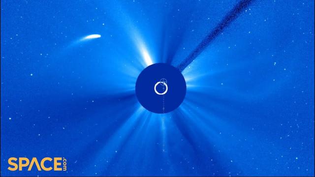 See Comet 96P/Macholz's stunning sun flyby in multiple spacecraft views