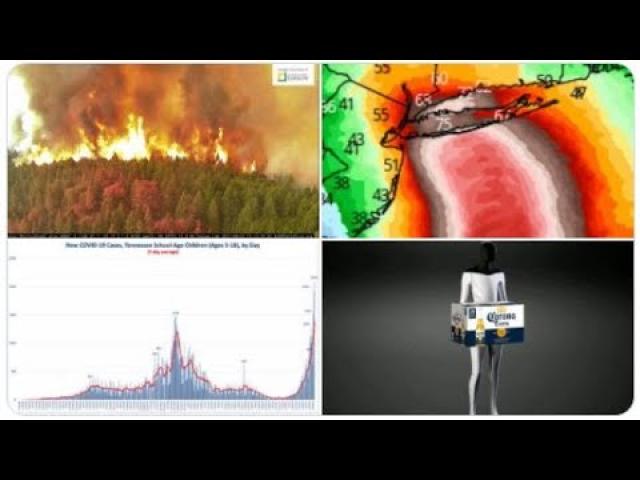 Cat 2 Hurricane Henri to hit NE! Coronavirus surges! Wildfires rage! bitcoin rises Elon's humanoids!