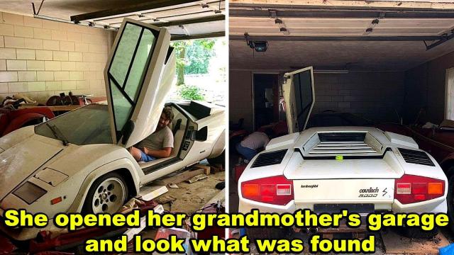 This woman decided to open her grandmother's old garage… what she found there was unexpected
