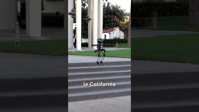 Le premier robot drone oiseau au monde provient du MIT !