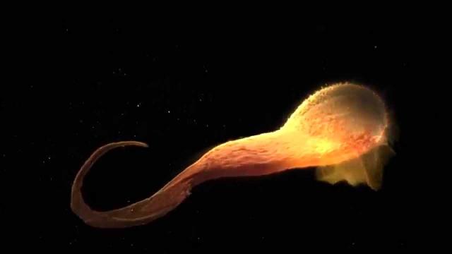 Supermassive Black Hole Devours Star In Event Called ASASSN-14li | Animation